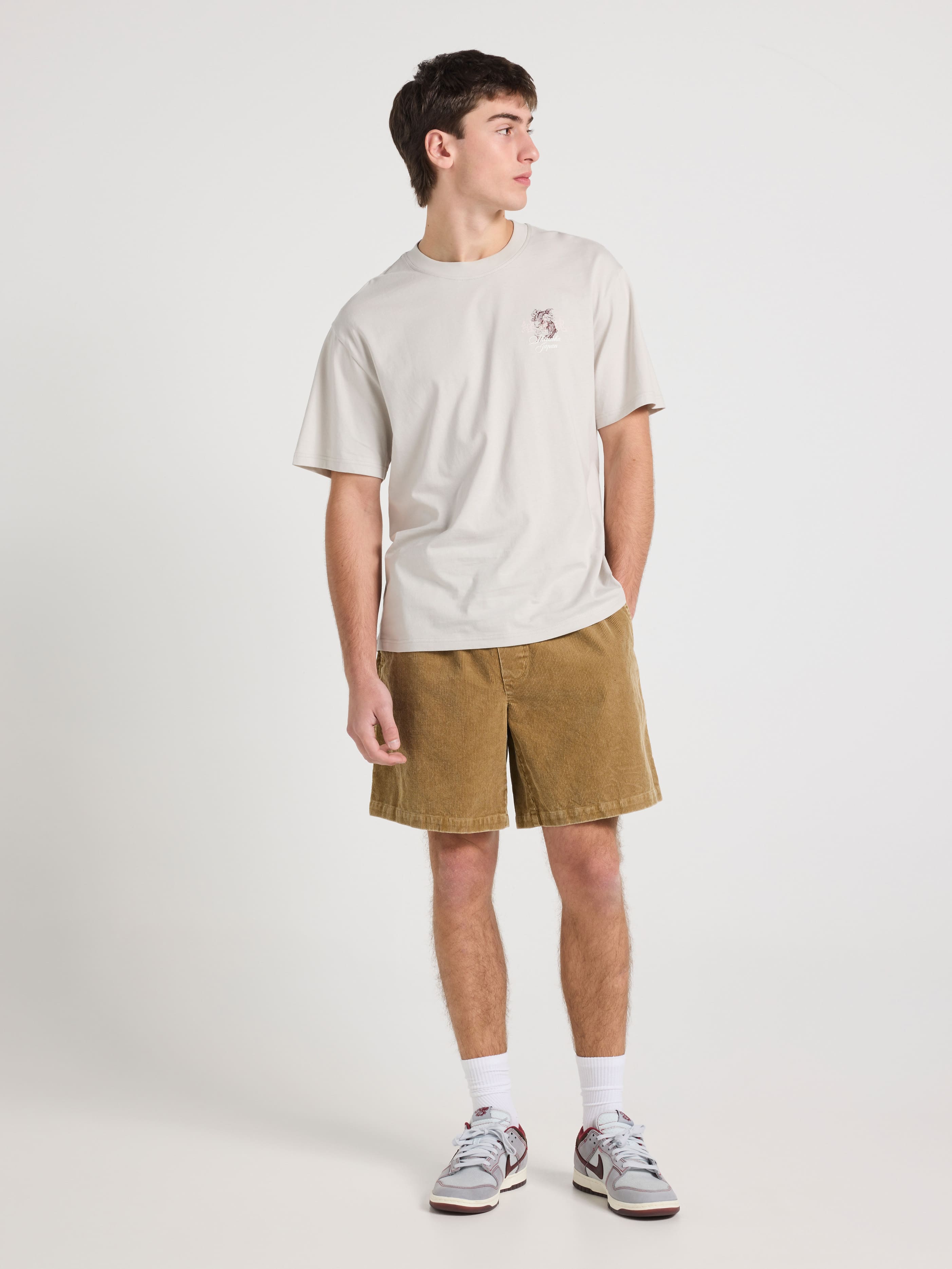 Japan Pink Icons Relaxed Tee