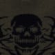 Grey Skull