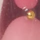 Gothic Gold